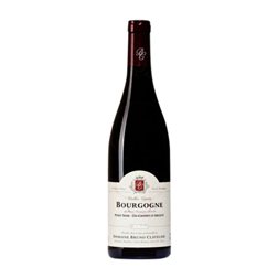 Domaine Bruno Clavelier Les Champs d'Argent Pinot Negro Bourgogne Hautes-Côtes de Nuits 75 cl Vino Tinto