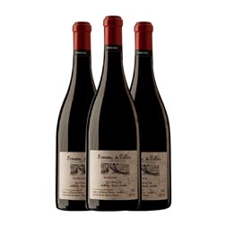 Domaine de Pallus Cabernet Franc Chinon 75 cl Vino Tinto (Caja de 3 unidades)