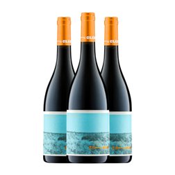 Domaine des Deux Clés Clés en Main 75 cl Vino Tinto (Caja de 3 unidades)