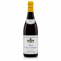 Domaine Leflaive Esprit Gevrey Chambertin 2023