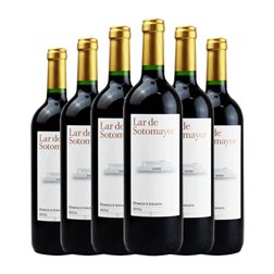 Domeco de Jarauta Lar de Sotomayor Tempranillo Rioja Joven 75 cl Vino Tinto (Caja de 6 unidades)