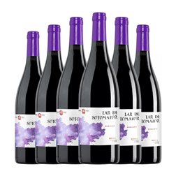 Domeco de Jarauta Lar de Sotomayor Tempranillo Seco Rioja Eco — Ecológico 75 cl Vegano Vino Tinto (Caja de 6 unidades)