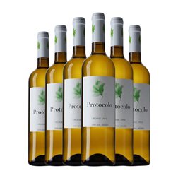 Dominio de Eguren Protocolo Eco — Ecológico 75 cl Vino Blanco (Caja de 6 unidades)