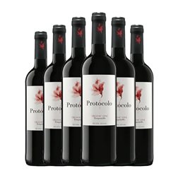 Dominio de Eguren Protocolo Eco — Ecológico 75 cl Vino Tinto (Caja de 6 unidades)