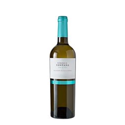 Dominio de Fontana Blanco Verdejo und Sauvignon Blanc 2024