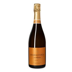 'Dominio de la Vega Expression Brut Reserva 2022'
