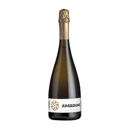 Doniene Gorrondona Apardune Hondarribi Zuri Bizkaiko Txakolina 75 cl Espumoso Blanco