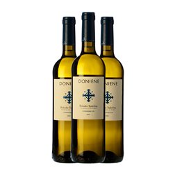 Doniene Gorrondona Doniene Hondarribi Zuri Bizkaiko Txakolina 75 cl Vino Blanco (Caja de 3 unidades)