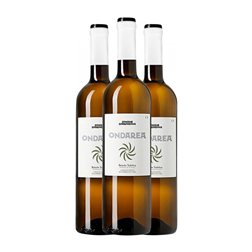 Doniene Gorrondona Txakoli de Álava Hondarribi Zuri Arabako Txakolina 75 cl Vino Blanco (Caja de 3 unidades)