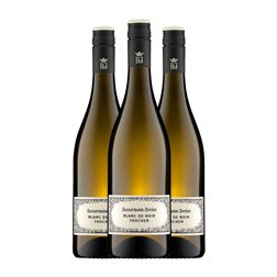Dr. Von Basserman-Jordan Pinot Negro Trocken — Seco Pfälz Blanc de Noirs 75 cl Vino Blanco (Caja de 3 unidades)