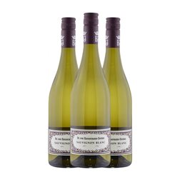 Dr. Von Basserman-Jordan Sauvignon Trocken — Seco Pfälz 75 cl Vino Blanco (Caja de 3 unidades)