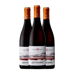 Edouard Delaunay Septembre Pinot Negro Bourgogne 75 cl Vino Tinto (Caja de 3 unidades)