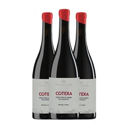 El Hato y El Garabato Cotexa Juan García Arribes 75 cl Vino Tinto (Caja de 3 unidades)