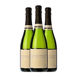 Els Vinyerons Pregadéu Xarel·lo Brut Penedès Ancestral 75 cl Espumoso Blanco (Caja de 3 unidades)