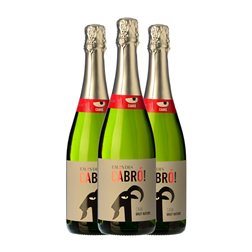 Emendis Cabró Brut Nature Cava 75 cl Espumoso Blanco (Caja de 3 unidades)