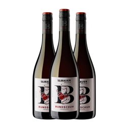 Emil Bauer Bundschuh Merlot VDP Gutswein — Vino de Finca 75 cl Vino Tinto (Caja de 3 unidades)
