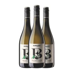 Emil Bauer Nussdorf Chenin 75 cl Vino Blanco (Caja de 3 unidades)