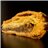 Empanada de Morcilla-lateral