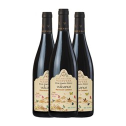 Encomienda de Cervera Vulcanus Syrah Campo de Calatrava Maceración Carbónica 75 cl Vino Tinto (Caja de 3 unidades)