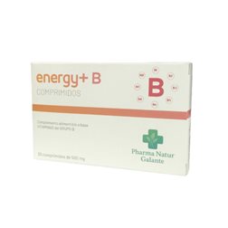 Énergie + B 500mg 30 comprimés Pharma Natur Galante