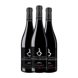 Entrechuelos Seco Vino de la Tierra de Cádiz Premium 75 cl Vino Tinto (Caja de 3 unidades)