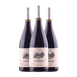 Escolinas Albarín Vino de Calidad de Cangas 75 cl Vino Tinto (Caja de 3 unidades)