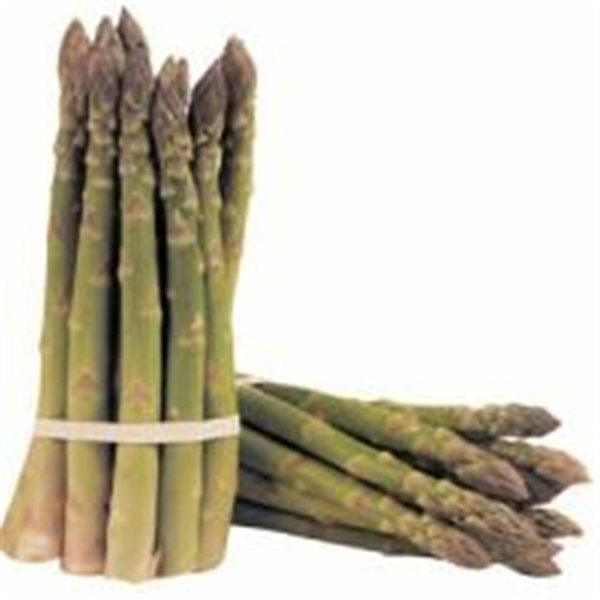 ASPERGES DE VILLENA-detalle