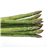 ASPERGES DE VILLENA-lateral