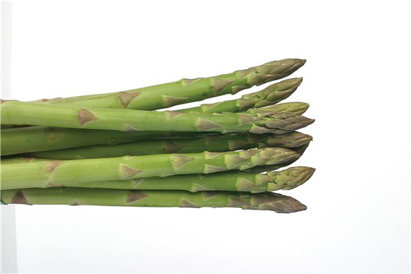 ASPERGES DE VILLENA-lateral
