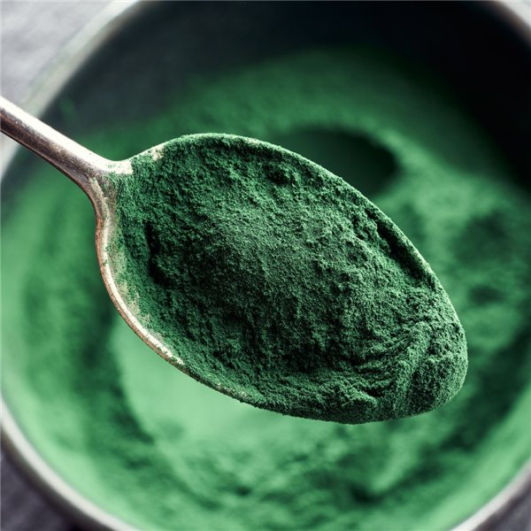 Poudre de Spiruline BIO - 250g-lateral