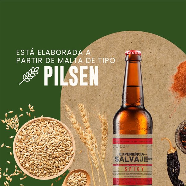 Expérience sauvage de Pilsen épicé-trasera