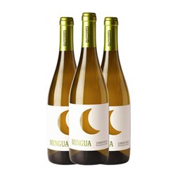 Fábregas Mingua Garnacha Somontano Sobre Lías 75 cl Vino Blanco (Caja de 3 unidades)