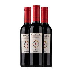 Falesco Sodale Merlot Trocken — Seco Lazio Media Botella 37 cl Vino Tinto (Caja de 3 unidades)