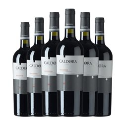 Fantini Caldora Sangiovese Trocken — Seco Terre di Chieti 75 cl Vino Tinto (Caja de 6 unidades)