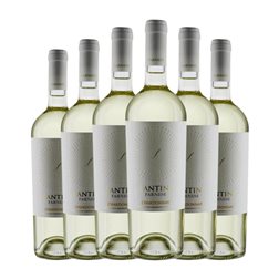 Fantini Chardonnay Trocken — Seco Terre di Chieti 75 cl Vino Blanco (Caja de 6 unidades)