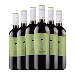 Fantini Pinot Gris 1 L Vino Blanco (Caja de 6 unidades)