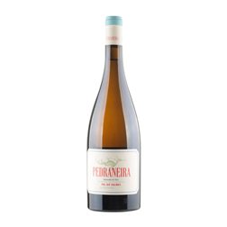 Fento Pedraneira Albariño Rías Baixas Botella Magnum 1,5 L Vino Blanco