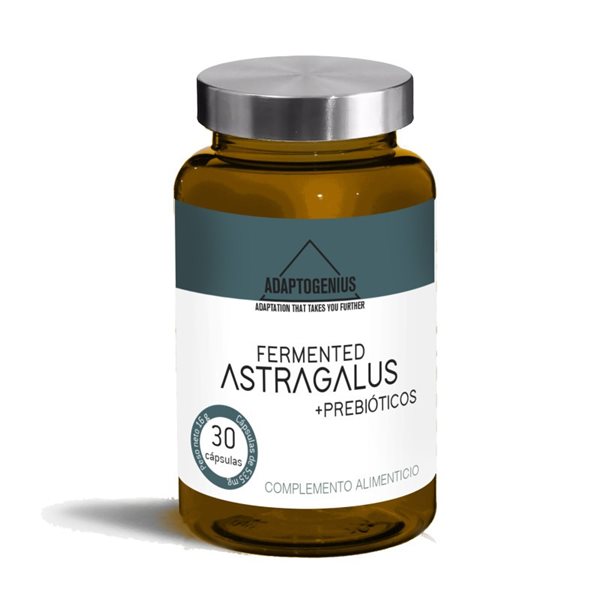 Fermentierte Astragalus 30 Kapseln Bioserum Adaptogenius-lateral