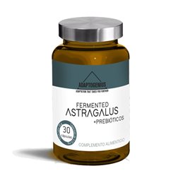 Fermentierte Astragalus 30 Kapseln Bioserum Adaptogenius