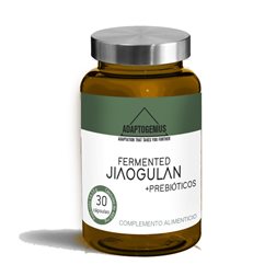 Fermentiertes Jiaogulan 30 Kapseln Bioserum Adaptogenius