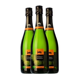Ferret Guasch Brut Nature Cava Reserva 75 cl Espumoso Blanco (Caja de 3 unidades)