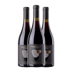 Feudi Salentini Susumaniello 75 cl Vino Tinto (Caja de 3 unidades)