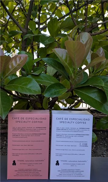 FFiero Volcanico-lateral