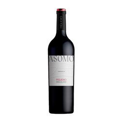 Figuero Asomo Tempranillo Ribera del Duero Botella Magnum 1,5 L Vino Tinto