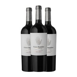 Finca Algarve Cinco Sentidos Malbec Mendoza Reserva 75 cl Vino Tinto (Caja de 3 unidades)