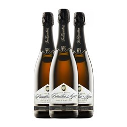 Finca Torremilanos Peñalba López Brut Nature Cava Rosé — Rosado 75 cl Espumoso Rosado (Caja de 3 unidades)