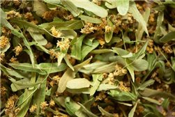 BIO Linde Blüte 30g Natürliche Beruhigungsmittel für Stress und Ruhe