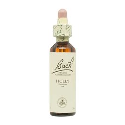 Flor nº 15 Acebo (holly) 20ml Bach