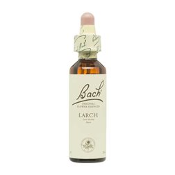 Flower nº 19 Larch 20ml Bach