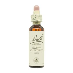 Flor nº 30 Castaño dulce (sweet chestnut) 20ml Bach